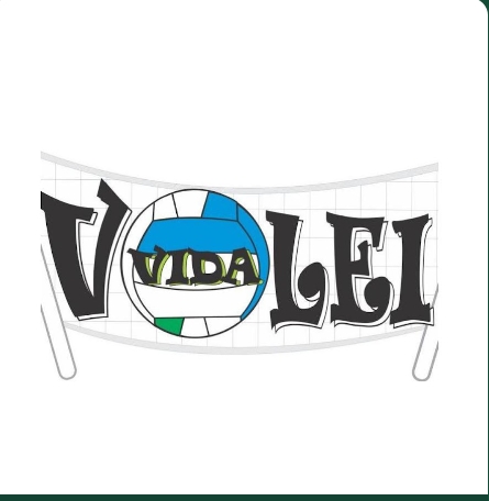 Volei Vida Treino
